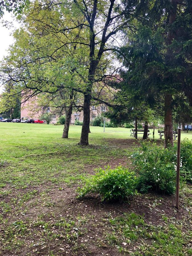 Apartman Suzanne Banská Bystrica Dış mekan fotoğraf